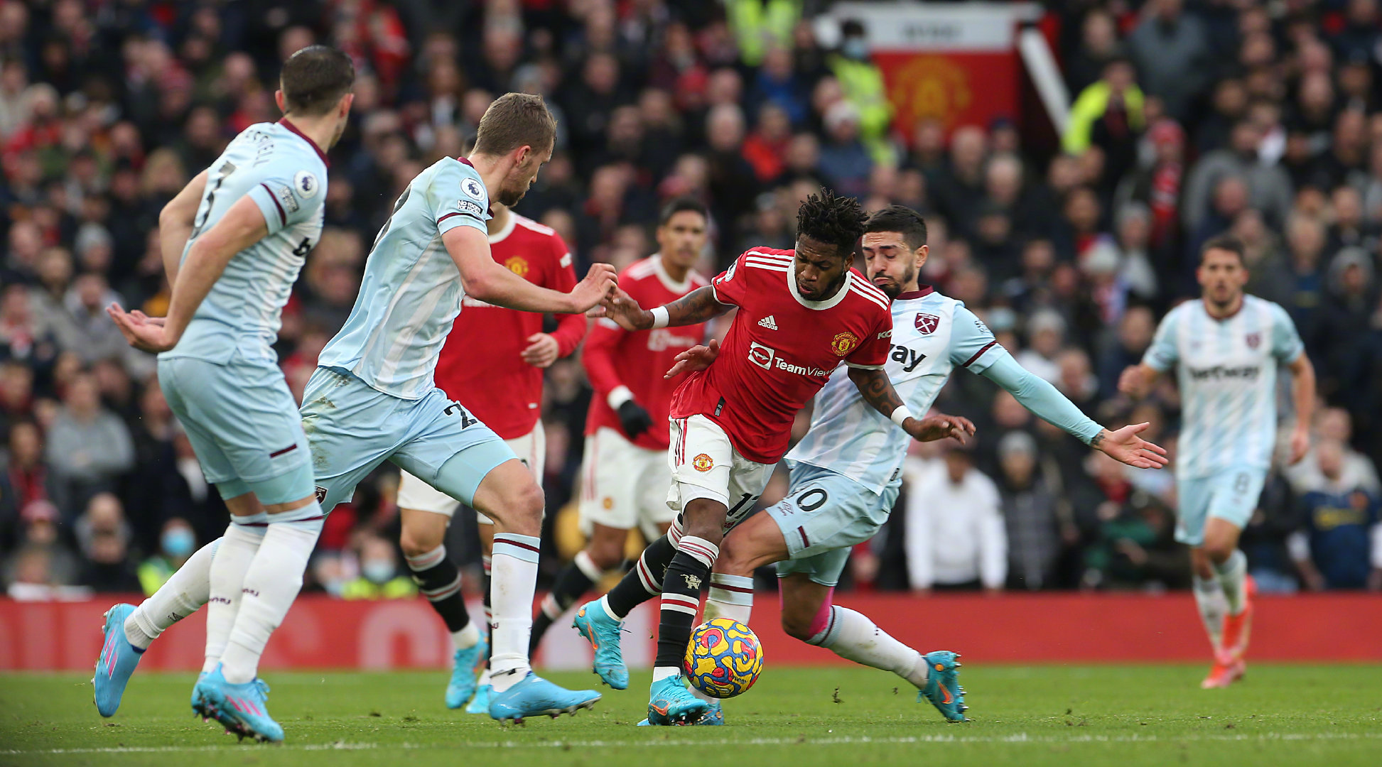 的生活习性 的生活习性